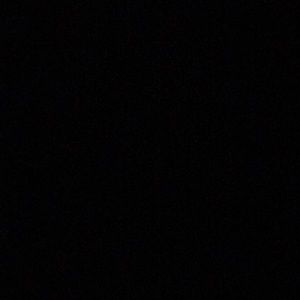 Meet your Posher, Peyton